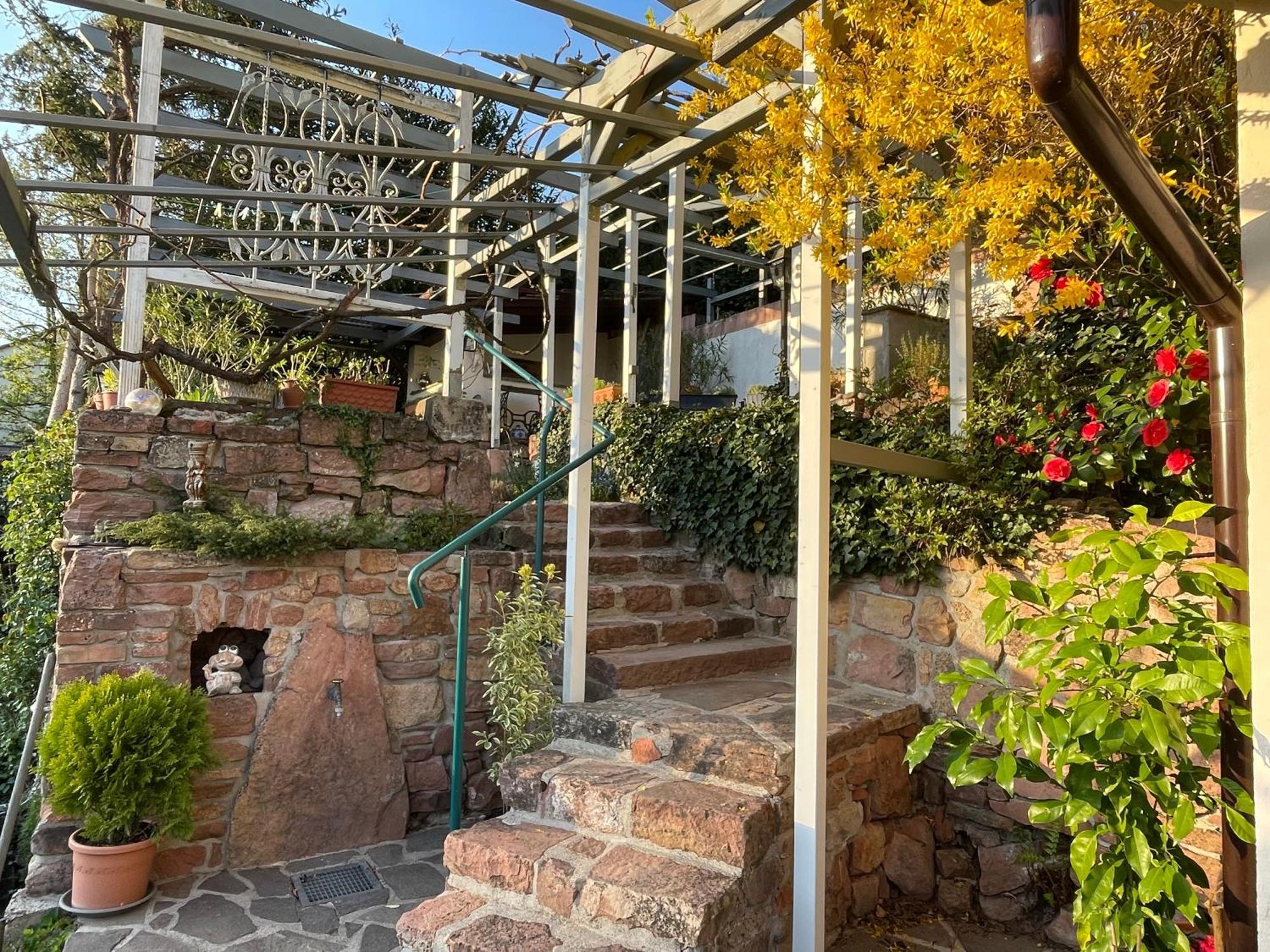 Am Berggarten Appartement *