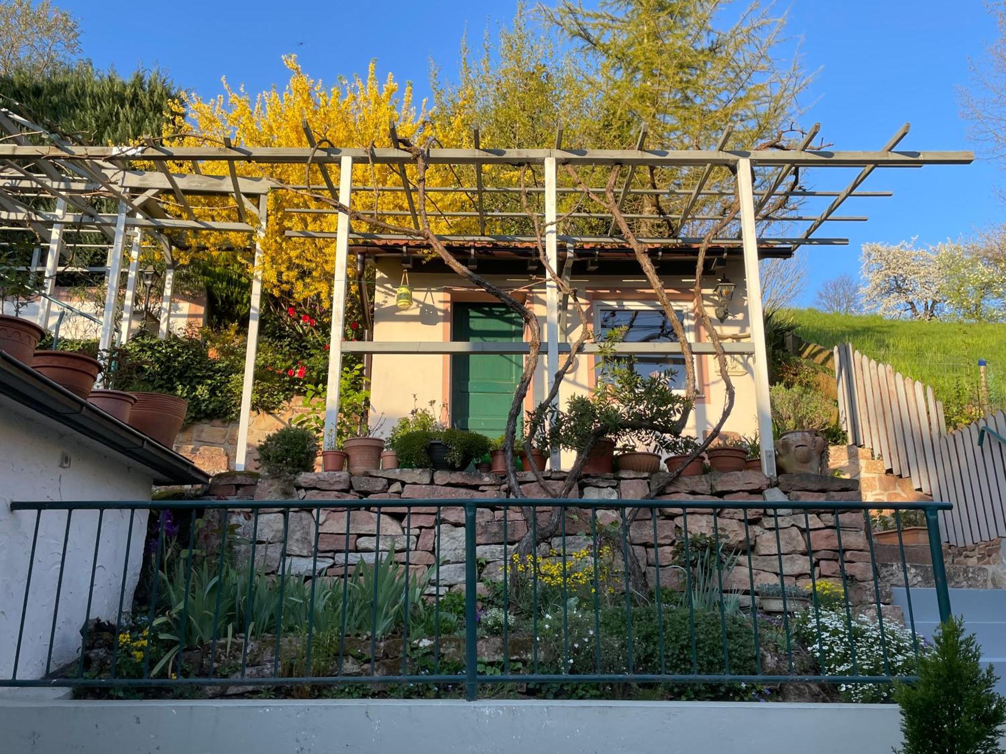 Am Berggarten * Heidelberg
