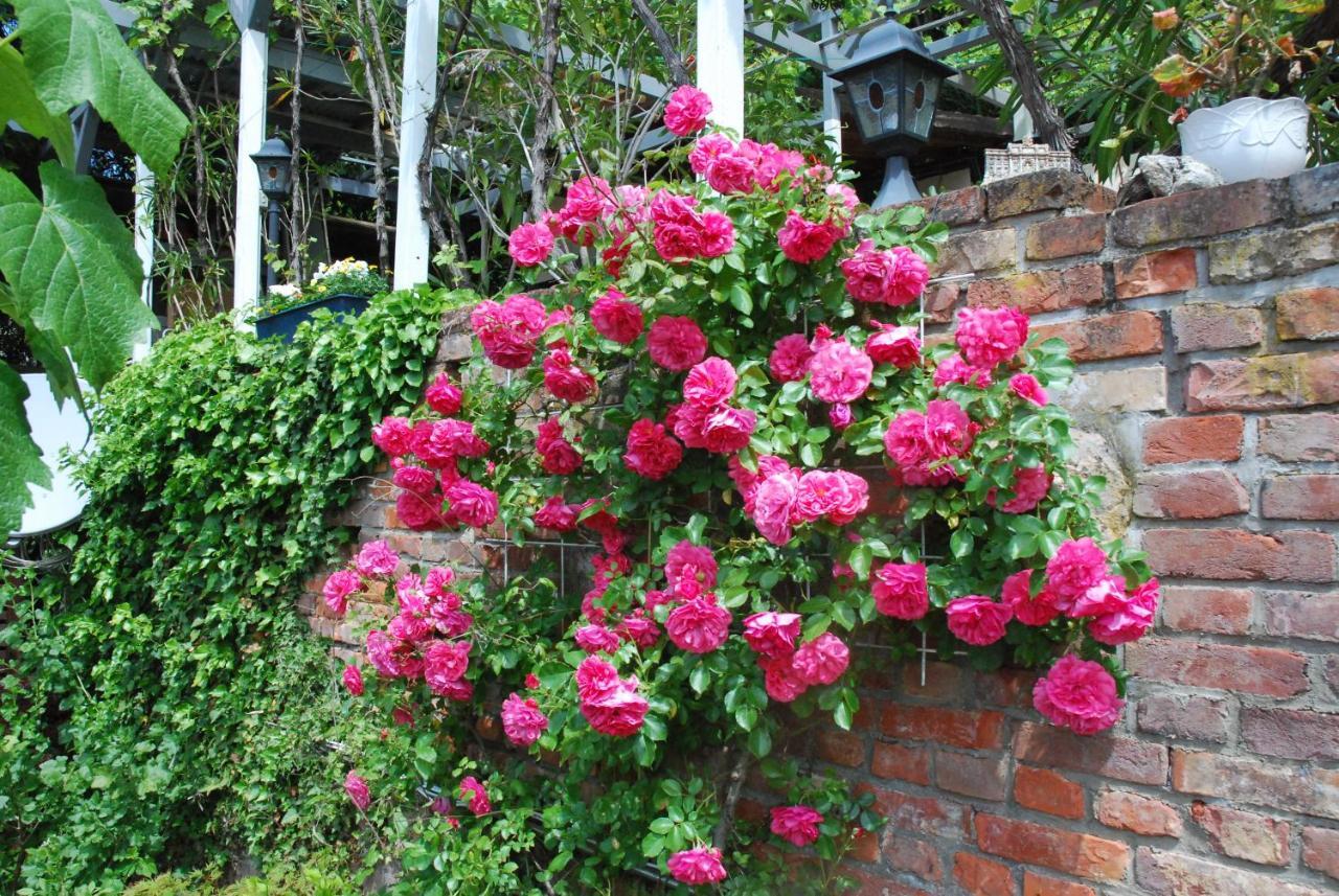 Am Berggarten Heidelberg